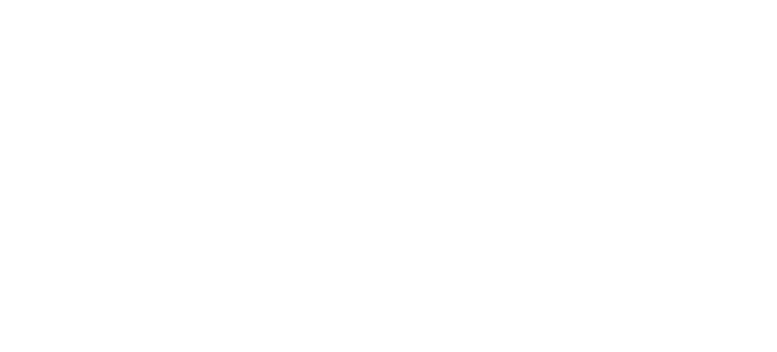 Chris Hanson Plastering